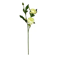 6 Pack: Lime Peony Spray