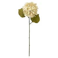 12 Pack: Cream Hydrangea Steam by Ashland®