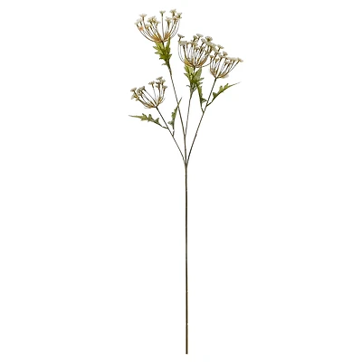 36" Cream Queen Anne's Lace Stem by Ashland® 