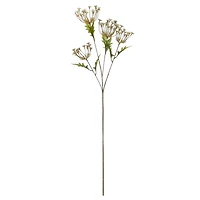 36" Cream Queen Anne's Lace Stem by Ashland® 