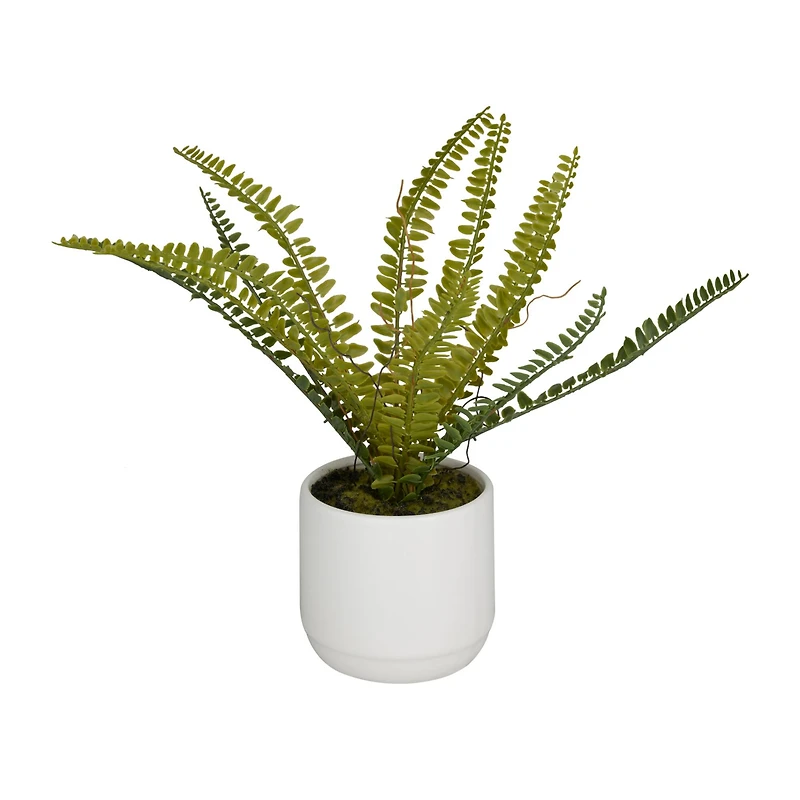 The Novogratz Green Ceramic Contemporary Artificial Foliage, 12" x 15" x 10"