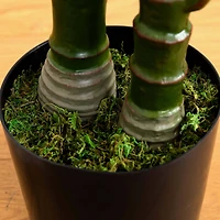 9ft. Potted Green UV Resistant Artificial Double Robellini Palm Tree