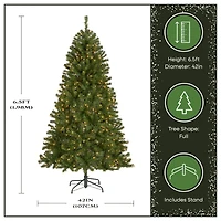6.5ft. Pre-Lit North Valley® Spruce Artificial Christmas Tree, Clear Lights