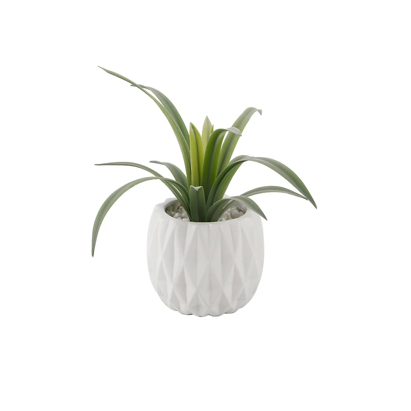 Flora Bunda® 13.5" Green Sedge in Ridge Ceramic Planter
