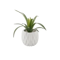 Flora Bunda® 13.5" Green Sedge in Ridge Ceramic Planter