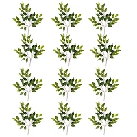12 Pack: 23" Ficus Spray Floral Essentials by Ashland®