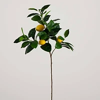 28" Lemon Branch Stems, 3ct.