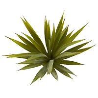 Spiky Agave Succulent Pick, 12ct. 