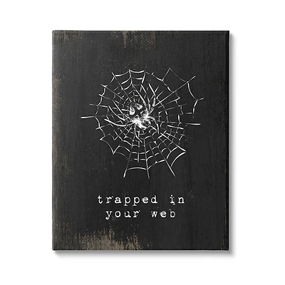 Stupell Industries Trapped In Your Web Spider Canvas Wall Art