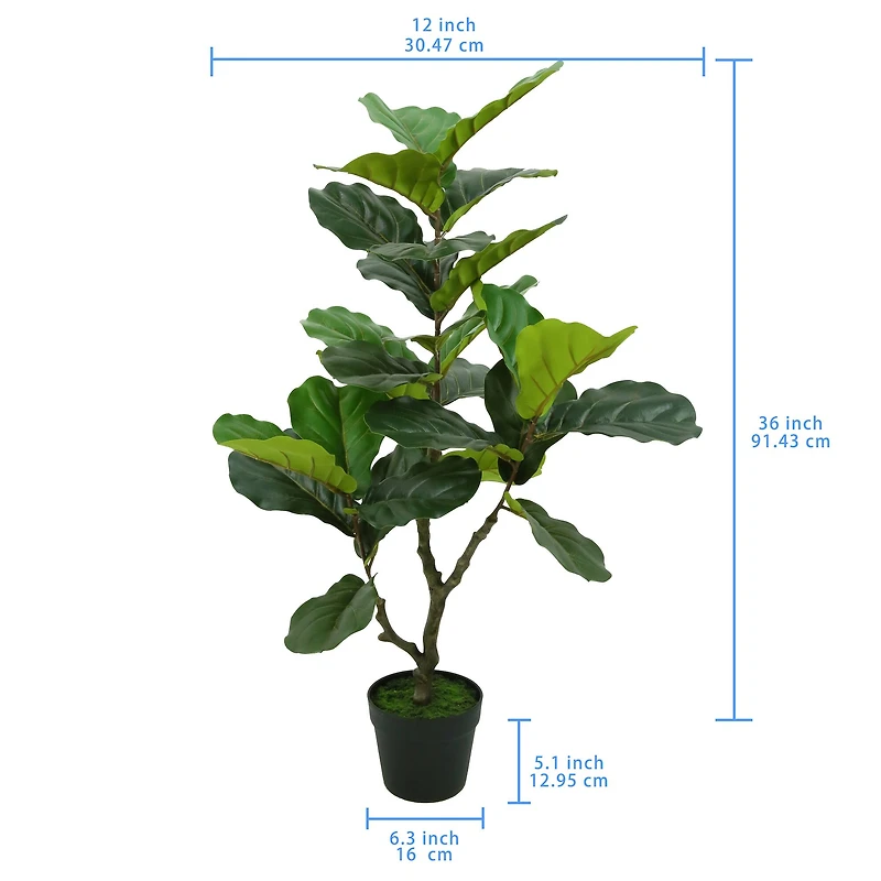 3ft. Potted Green Fiddle Leaf Fig Tree by Ashland®