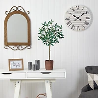 2.5ft. Olive Tree in Brown Planter