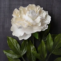 White Peony Stem by Ashland®