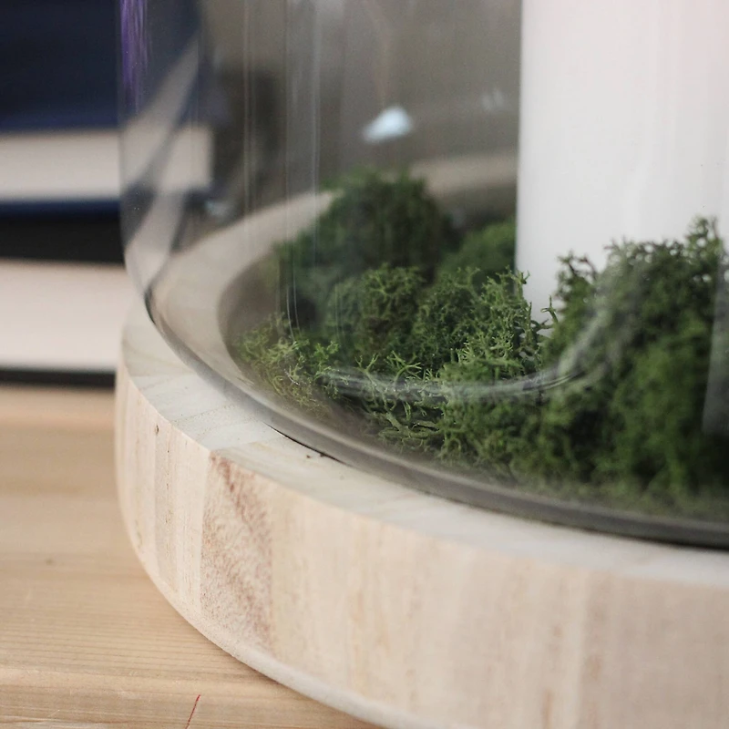 Transparent Glass Hurricane with Wooden Lid and Base