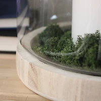 Transparent Glass Hurricane with Wooden Lid and Base