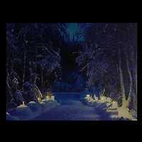 LED Lighted Nighttime In The Woods Winter Scene Canvas Wall Art
