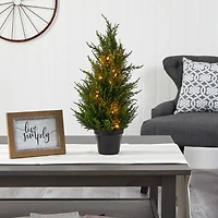 18in. Pre-Lit Cedar Artificial Tree, Warm LED Lights