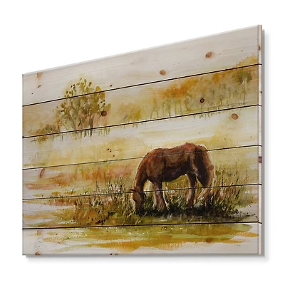 Designart - Horse Grazing On A Meadow