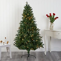 6ft. Pre-Lit Vermont Fir Artificial Christmas Tree with Clear LED Lights