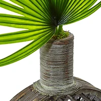 3.5ft. Fan Palm in Open Weave Vase