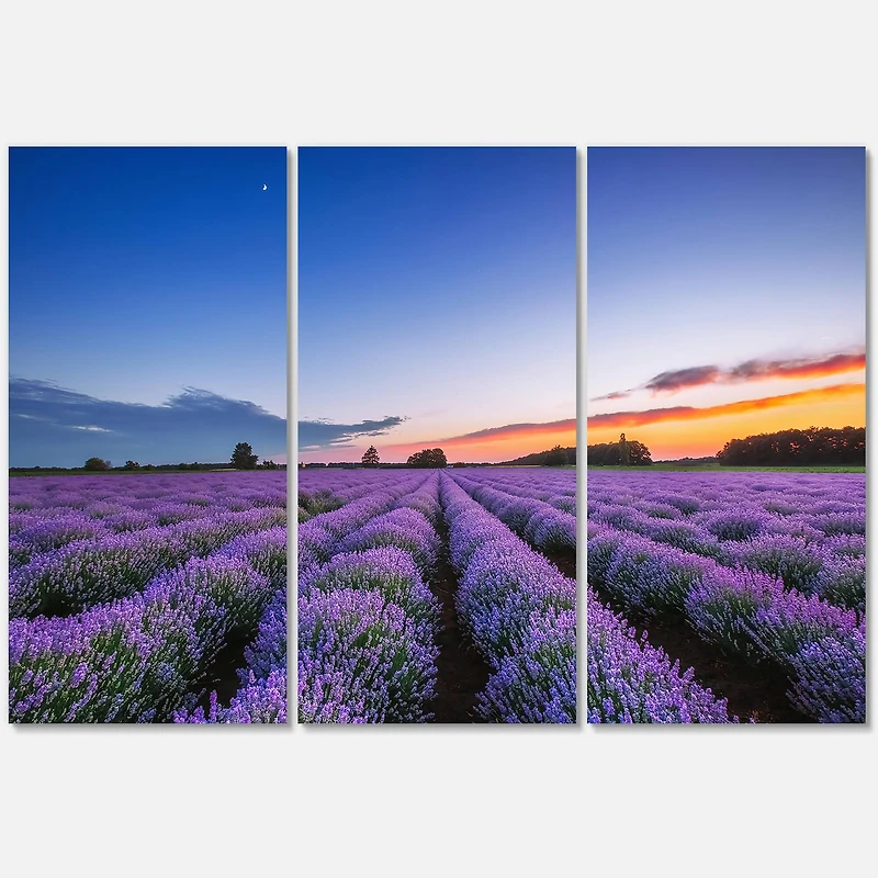 Designart - Sunrise & Dramatic Clouds Over Lavender Field I