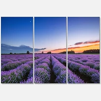 Designart - Sunrise & Dramatic Clouds Over Lavender Field I