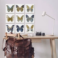 Stupell Industries Intricate Butterfly Wing Patterns Blue Brown Tan  Canvas Wall Art, 12" x 12"