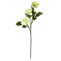 6 Pack: Cream Dahlia Spray