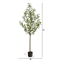6ft. Potted Olive Tree
