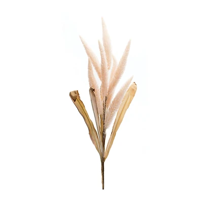 35.5" Pink Foxtail Plume Stems, 2ct.