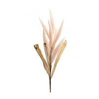 35.5" Pink Foxtail Plume Stems, 2ct.