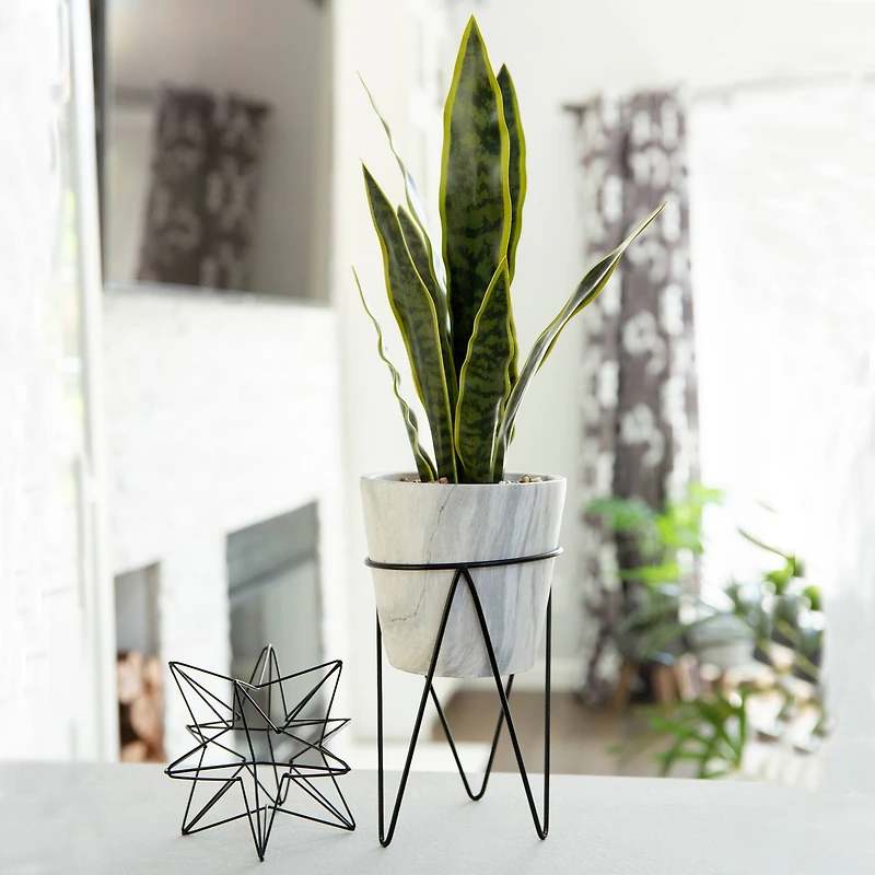 Flora Bunda® 1.75ft. Snake Plant In Marble On Metal Stand