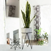 Flora Bunda® 1.75ft. Snake Plant In Marble On Metal Stand