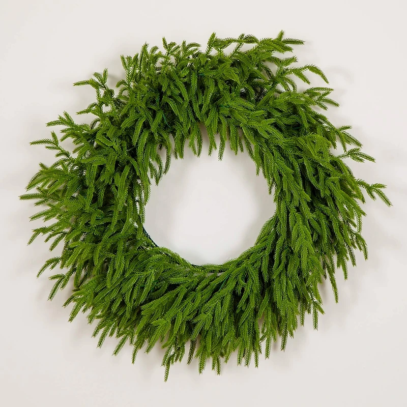 24in. Pre-Lit Artificial Real Touch Norfolk Island Pine Wreath with 50 Warm White LED Lights and Natural Look