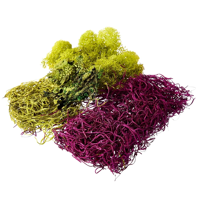 Red Moss Variety Pack by Ashland®