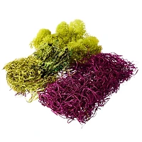 Red Moss Variety Pack by Ashland®