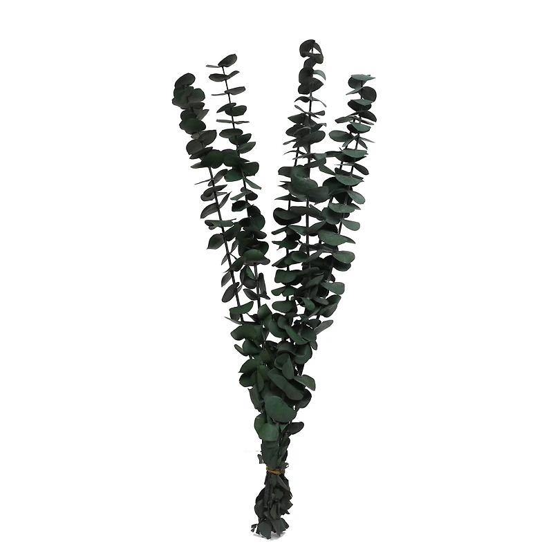 24" Eucalyptus Bundle by Ashland