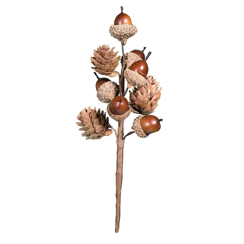 8" Acorn Pick by Ashland®