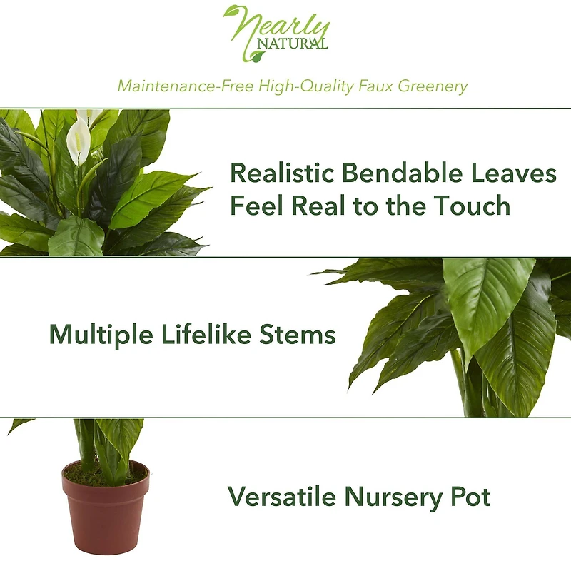 3.5ft. Potted Peace Lily