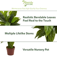 3.5ft. Potted Peace Lily