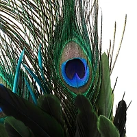 12 Pack: Peacock Feather Pick by Ashland®