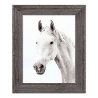 White Horse Western Framed Print