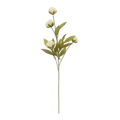 Cream Peony Stem by Ashland®