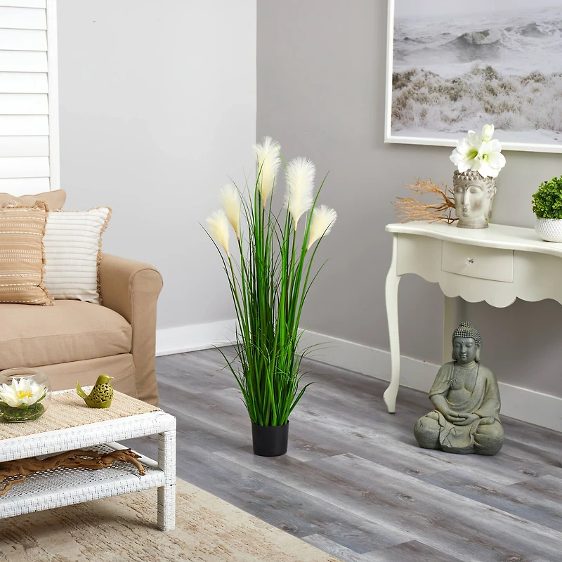 4ft. Potted Plume Grass Plant