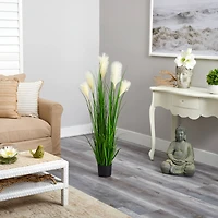 4ft. Potted Plume Grass Plant