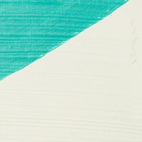 Liquitex® 8oz. Professional Super Heavy Gesso