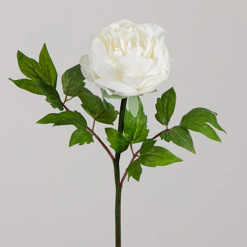 20" White Peony Flower Stems, 3ct.