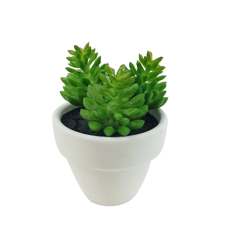 Assorted Micro Premade Succulent, 1pc. by Ashland®