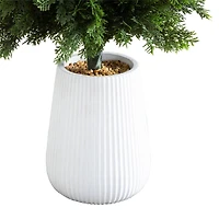 3ft. UV-Resistant Cedar Tree in Decorative White Planter