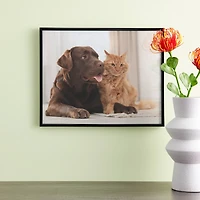 12 Pack: Black Multipurpose Frame