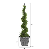 4.5ft. Cypress Spiral Topiary Tree in Black Embossed Tin Planter
